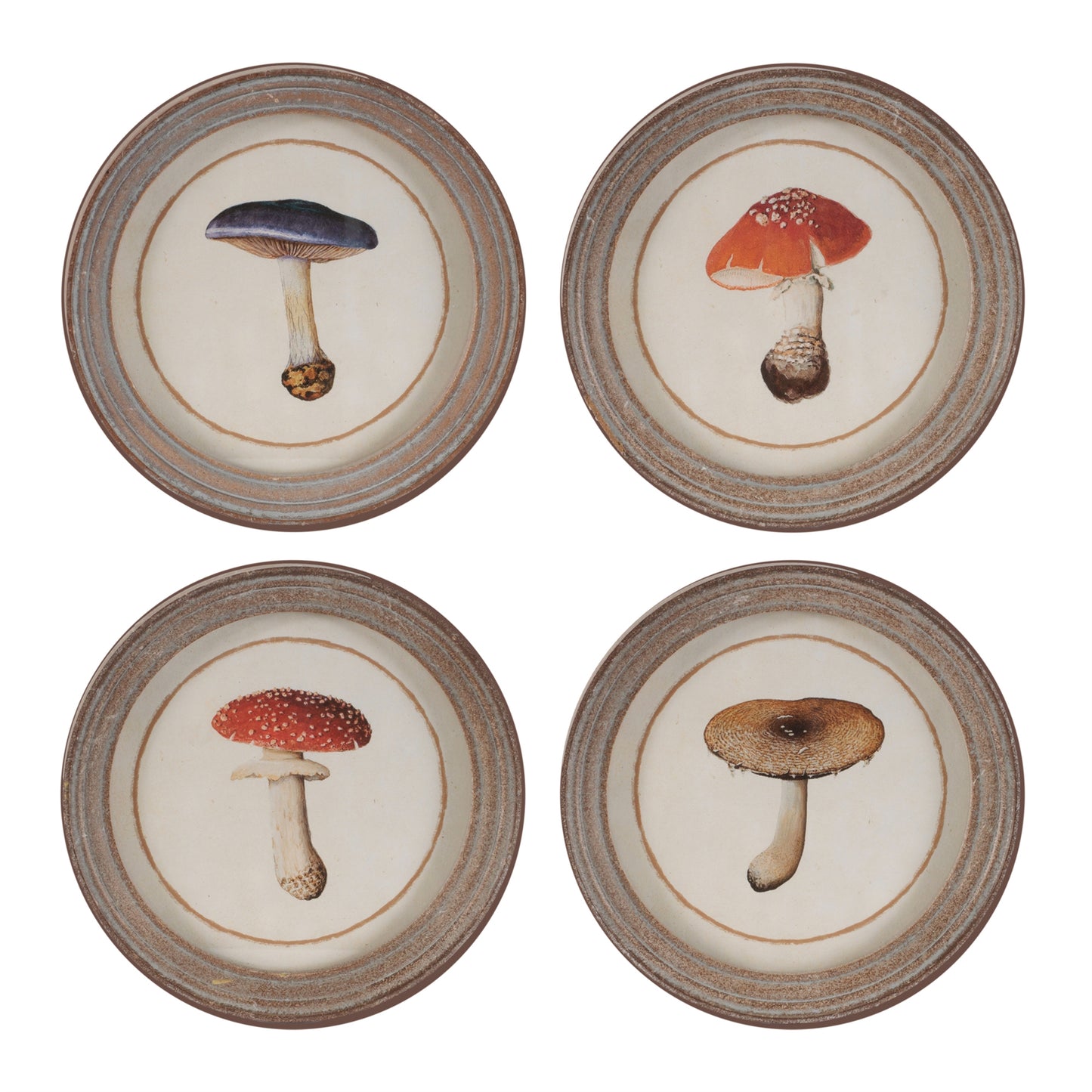 Framed Mushroom Print (Set of 4)