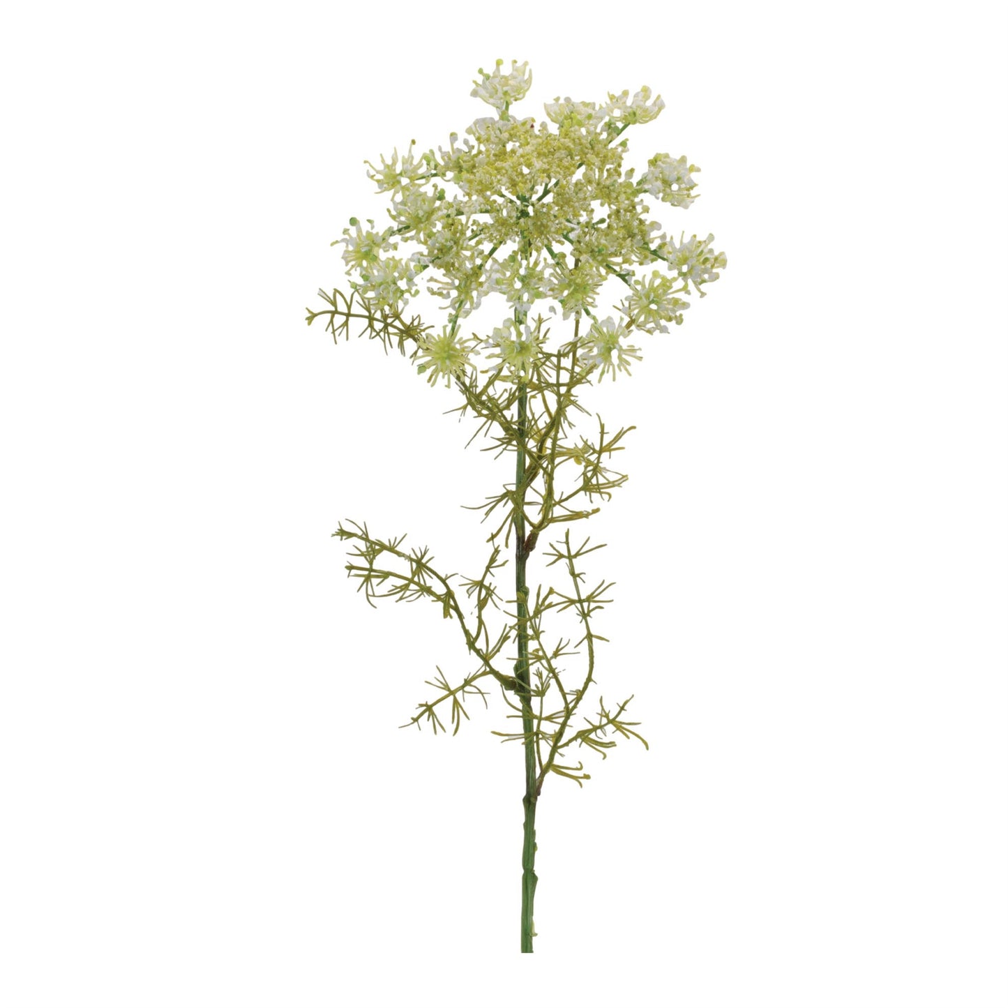 Queen Anne’s Lace Floral Stem (Set of 4)