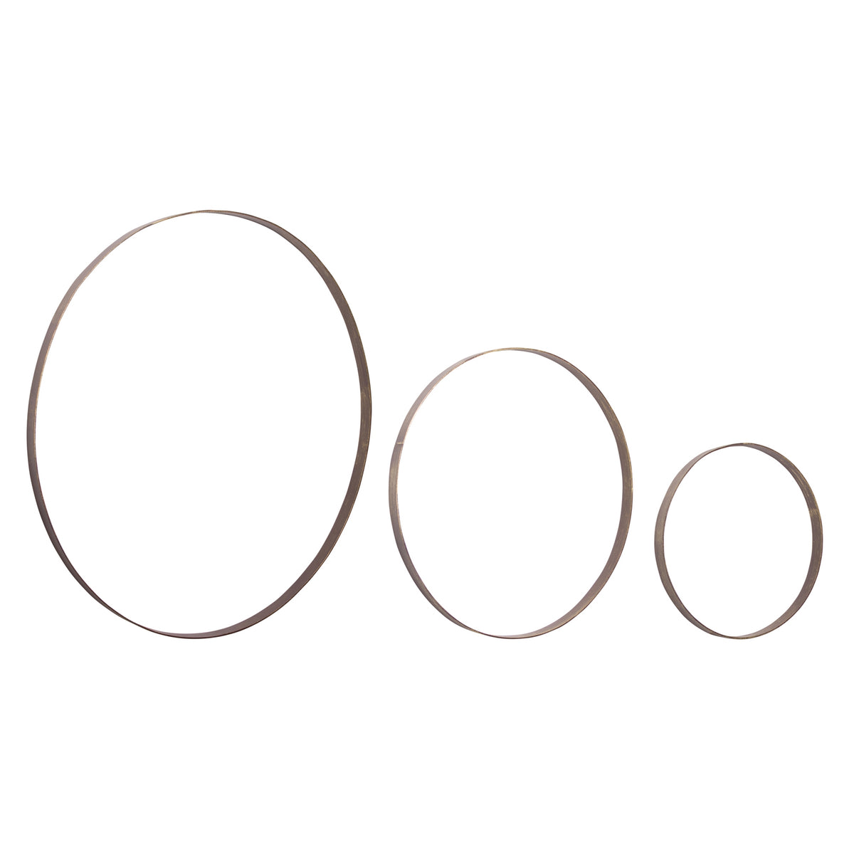 Iron Metal Rings Wall Display (Set of 3)