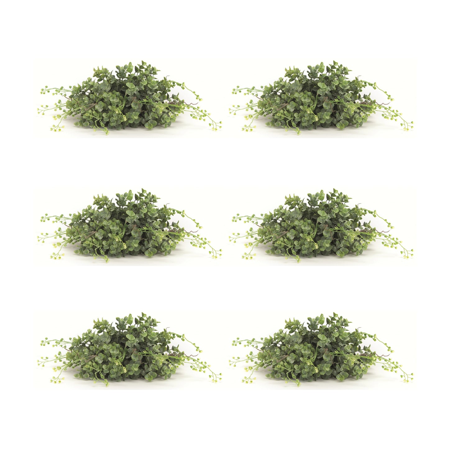 Spring Boxwood Foliage Half Orb (Set of 6)
