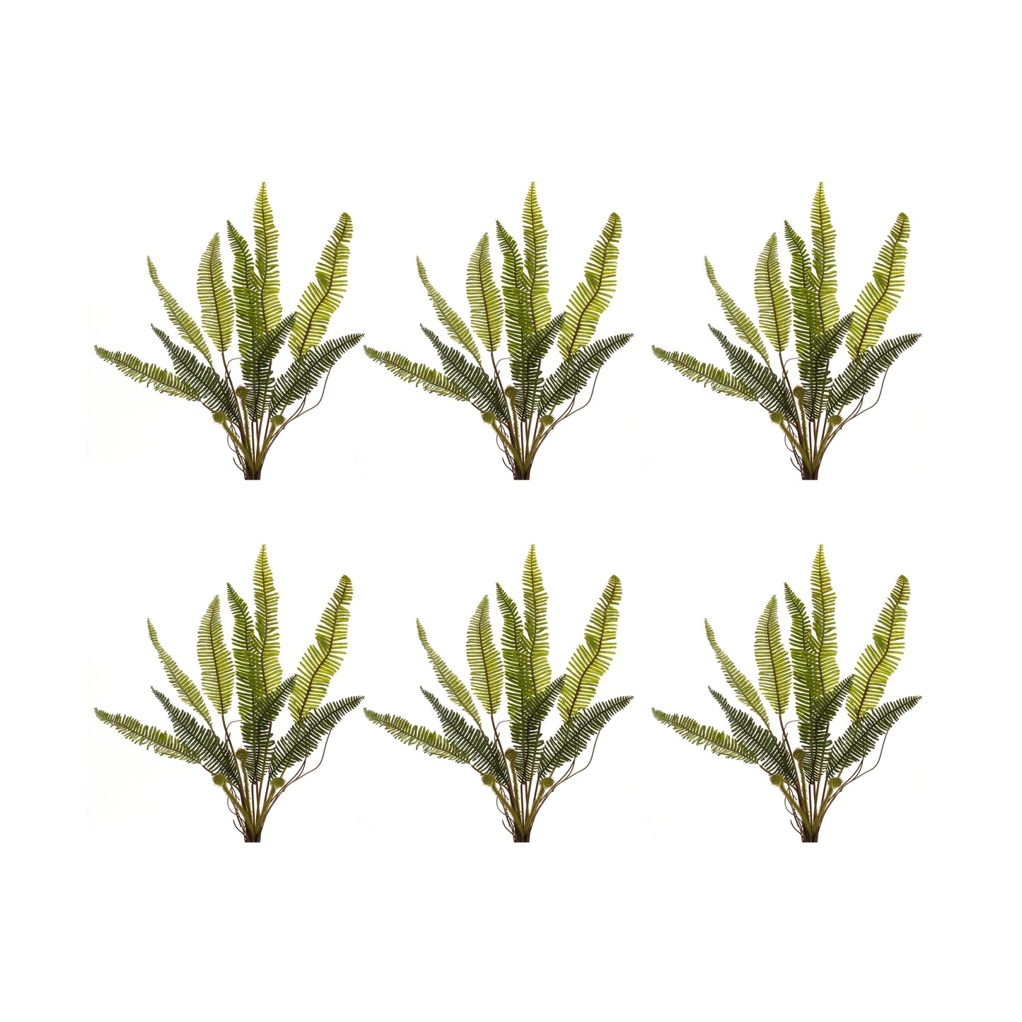 Varigated Fern Foliage Bush (Set of 6)