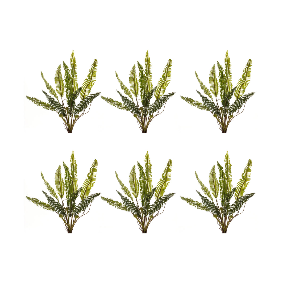 Varigated Fern Foliage Bush (Set of 6)