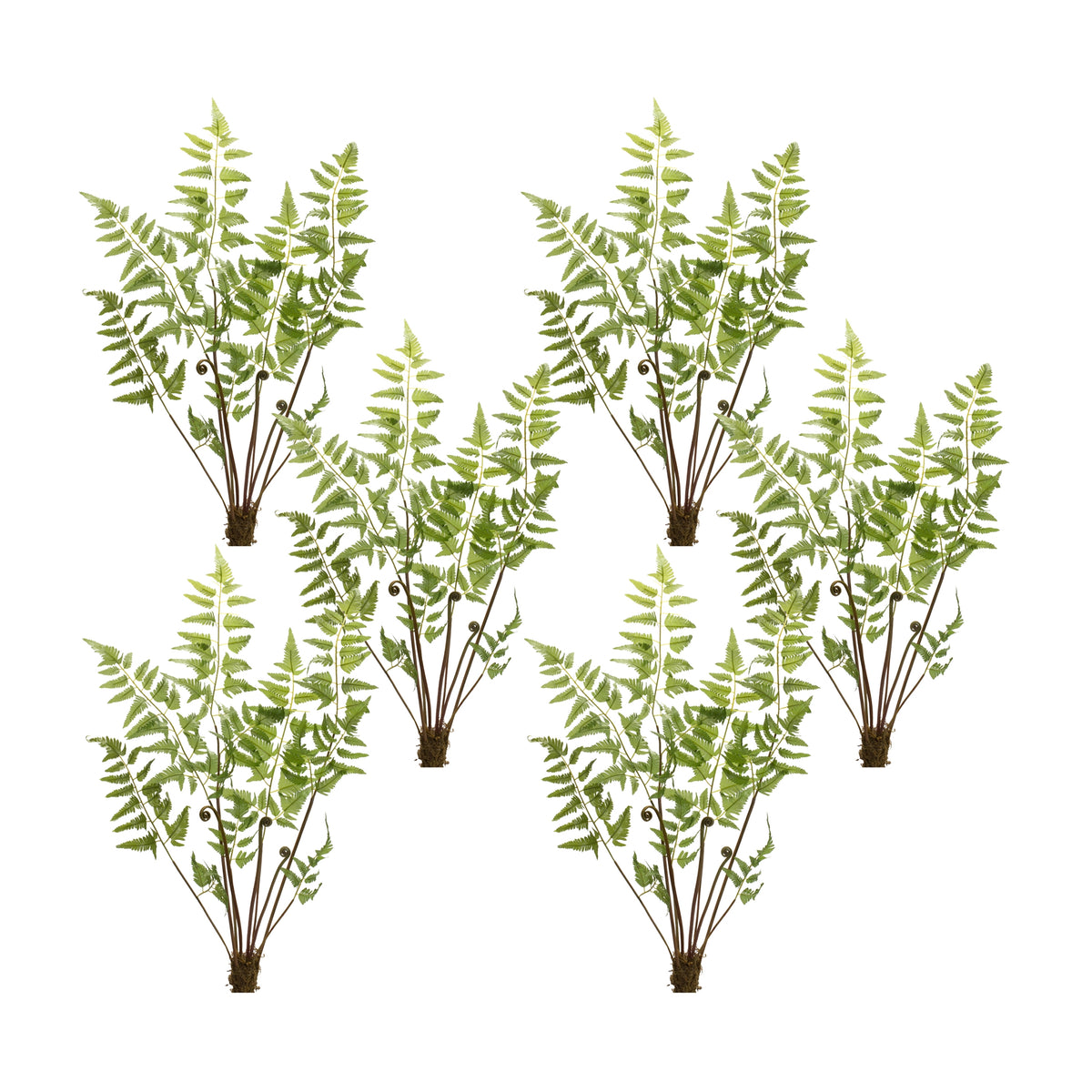 Varigated Fern Bundle with Sprout Accents (Set of 6)