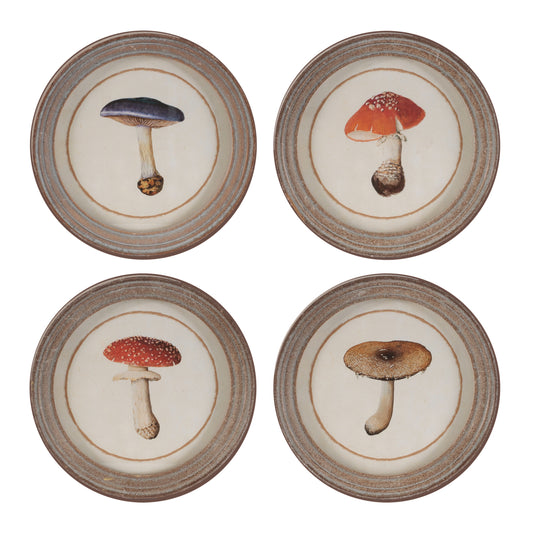 Framed Mushroom Print (Set of 4)
