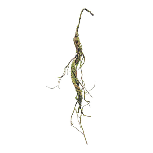 Mossy Twig Garland (Set of 2)