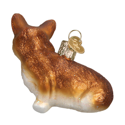 Pembroke Welsh Corgi