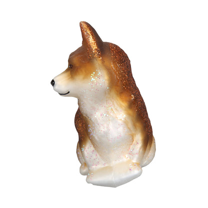 Pembroke Welsh Corgi