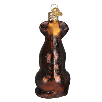Chocolate Labrador Ornament