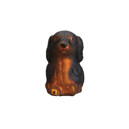 Long-haired Dachshund