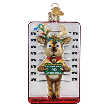 Reindeer Mugshot Ornament