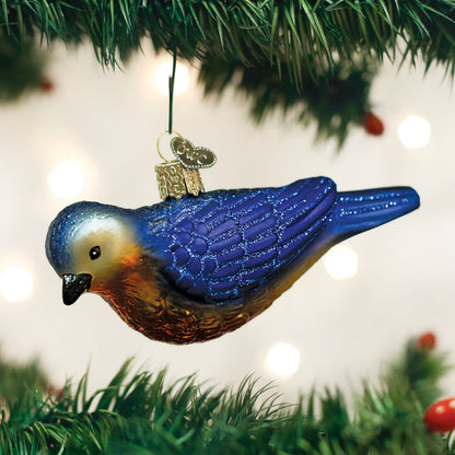 Hanging Western Bluebird