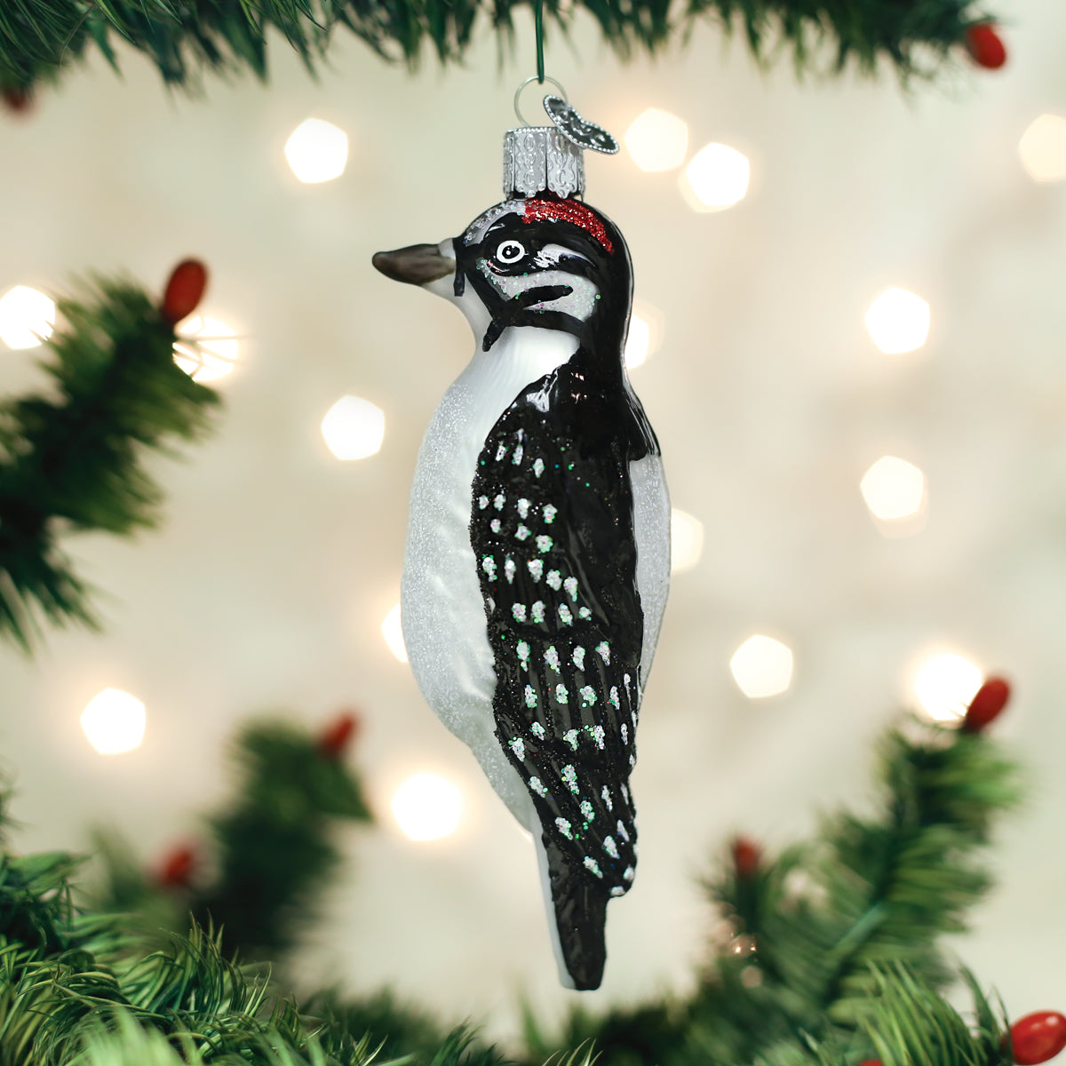 Hanging Hairy Woodpecker