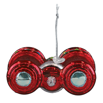 Bird Binoculars Ornament