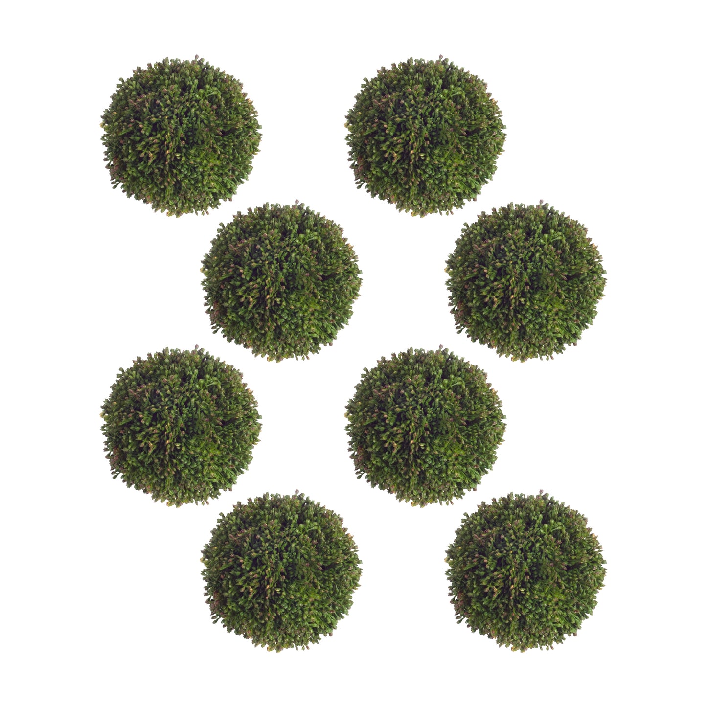 Boxwood Sedum Orb (Set of 8)