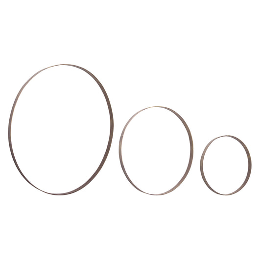Iron Metal Rings Wall Display (Set of 3)