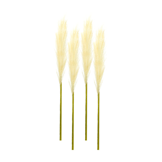 Cream Pampas Gass Stem (Set of 4)