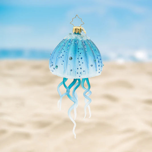 Aqua Moon Jelly