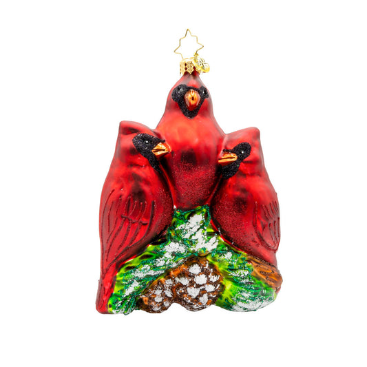 Cardinal Garden Greetings