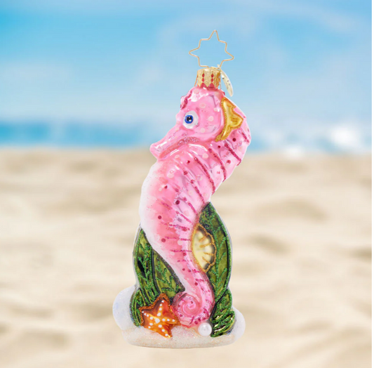 Sally Seahorse