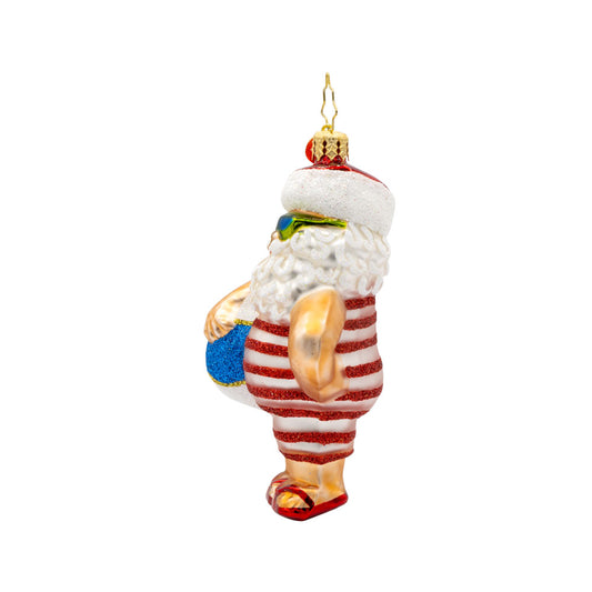 Santa Takes A Dip