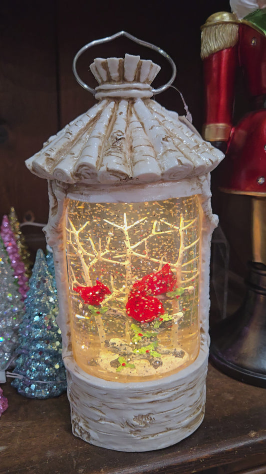 Lighted Swirl Lantern Cardinal Birch Casing